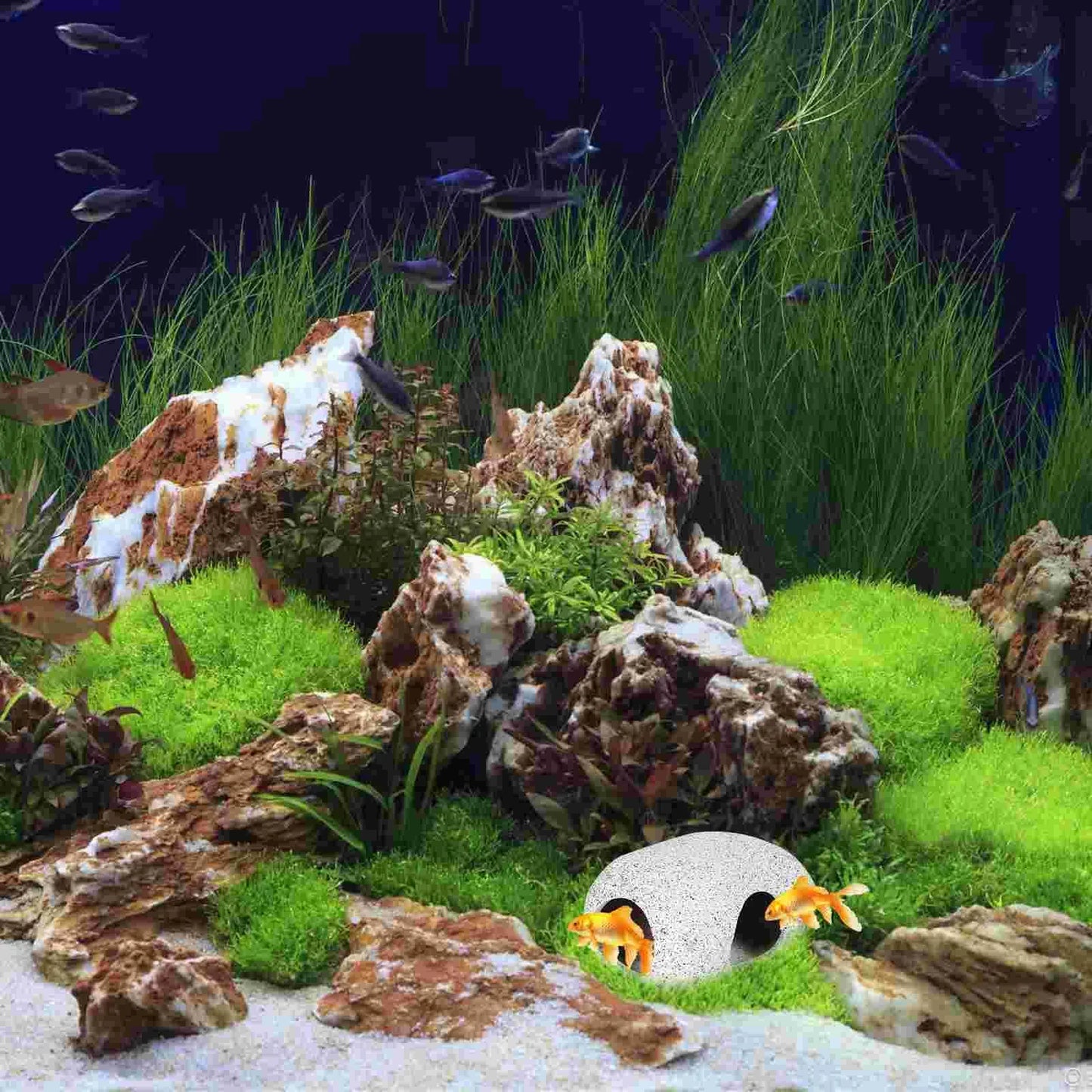 Ceramic Fish Eluding House Hiding Tank Cave Aquarium Shrimp Adornment Decorations naments Breeding Cave Pet Products Safe Easy