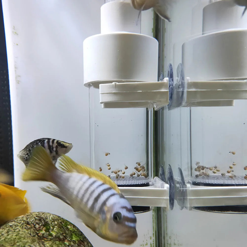 40mm Tumbler Incubator for Cichlid Mouth Brooding Hatchery