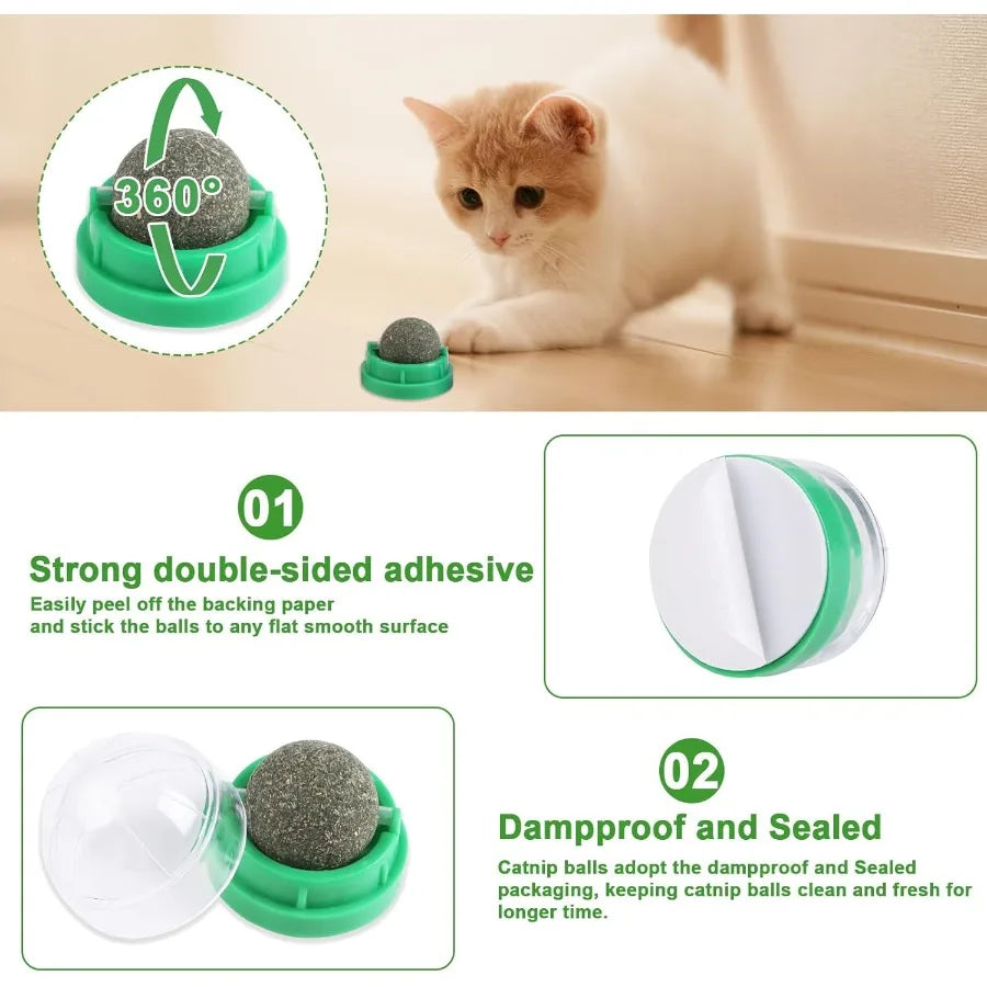 Hign Concerned Catnip Toys for Cats Six Pack Kitten Chew