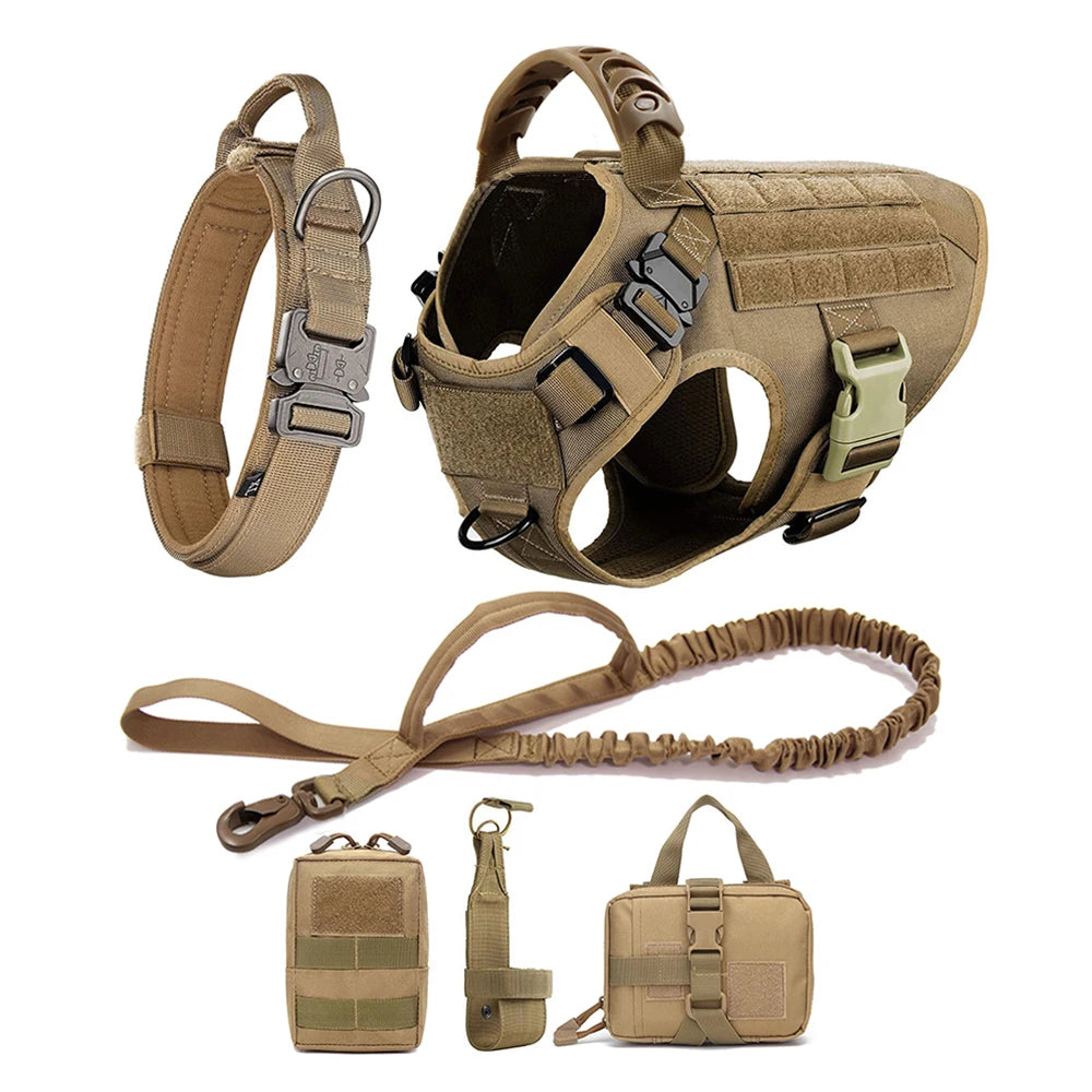 Petravelcn Large Dog Harness and Leash Set for Training