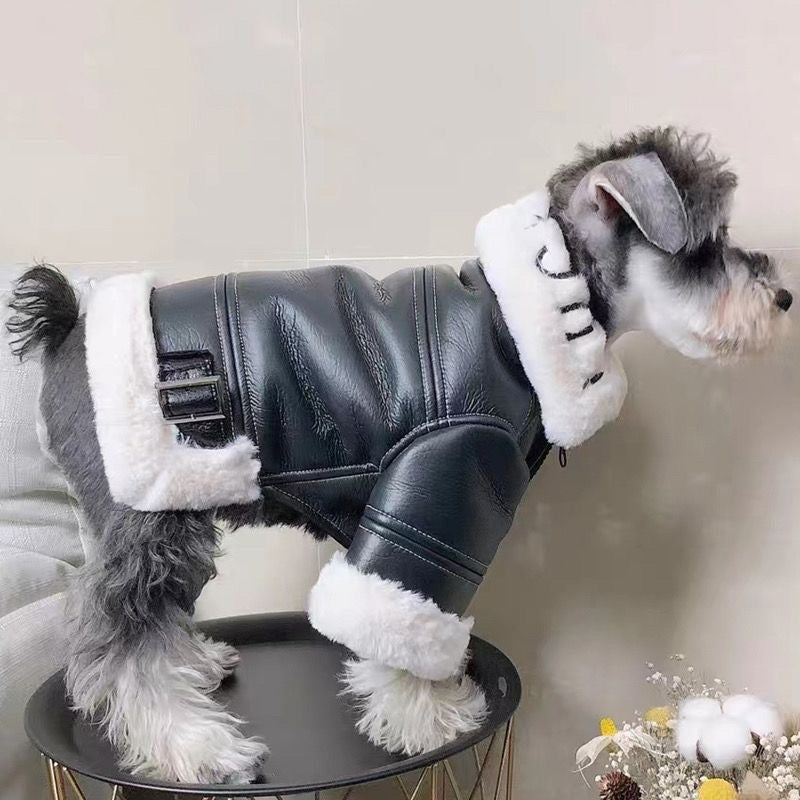 Small Dog Winter Coat | Suitable for Pomeranian, Teddy, Schnauzer - Thickened Motorcycle Style Faux Leather Outer Cover with Fleece, Warm Zipper, Machine Washable